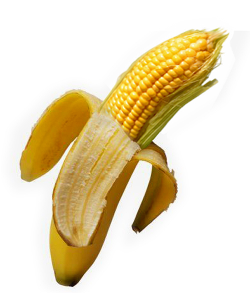 Photoshop Design by CraigMc for DesignCrowd (Community Contests) | Design #8965638