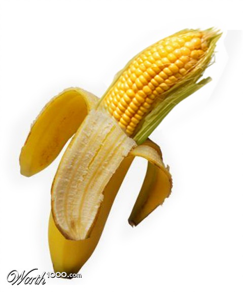 Photoshop Design by CraigMc