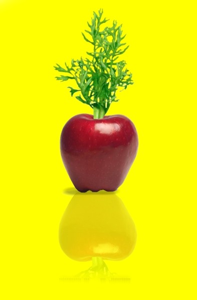 Diseño de Photoshop por kef0002 para DesignCrowd (Community Contests) | Diseño #8965685