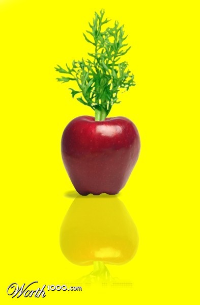 Photoshop Design by kef0002