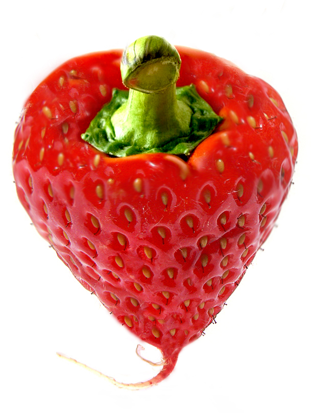 Photoshop Design by littlefella for DesignCrowd (Community Contests) | Design #8965598