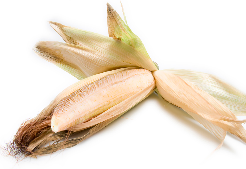 Photoshop Design by riddle for DesignCrowd (Community Contests) | Design #8965914