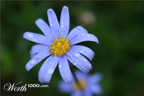 Photography by flangalistic