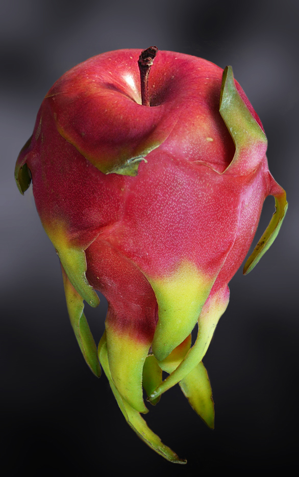 Photoshop Design by mzpresto for DesignCrowd (Community Contests) | Design #8965768