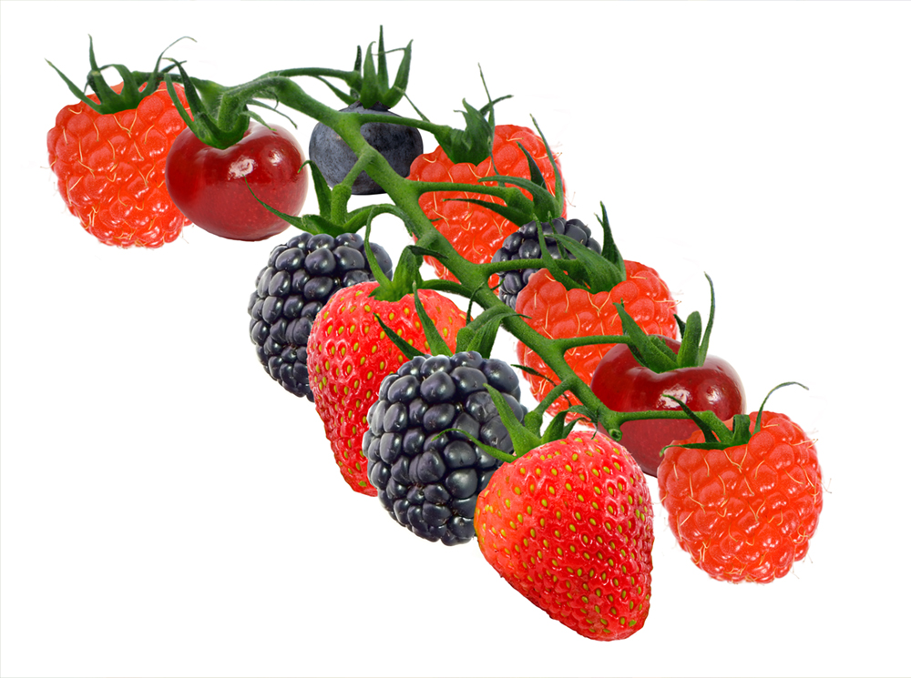 Diseño de Photoshop por Biddee para DesignCrowd (Community Contests) | Diseño #8965841