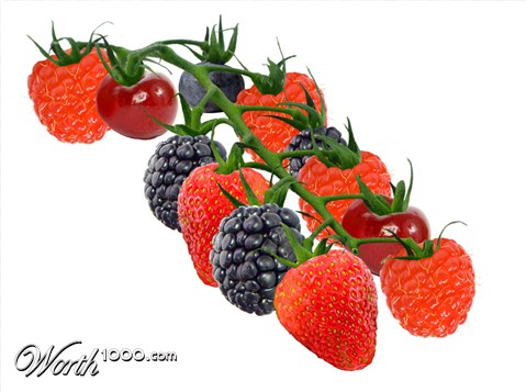 Photoshop Design by Biddee