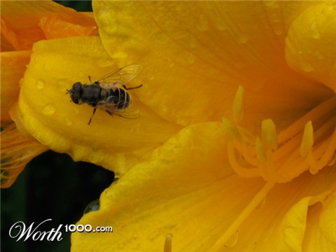Photography by bonafilia
