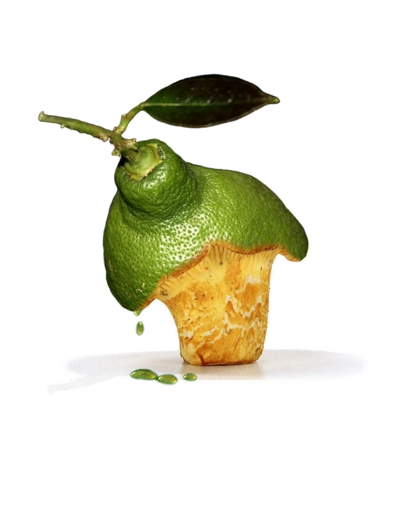 Photoshop Design by elbebeach for DesignCrowd (Community Contests) | Design #8965806