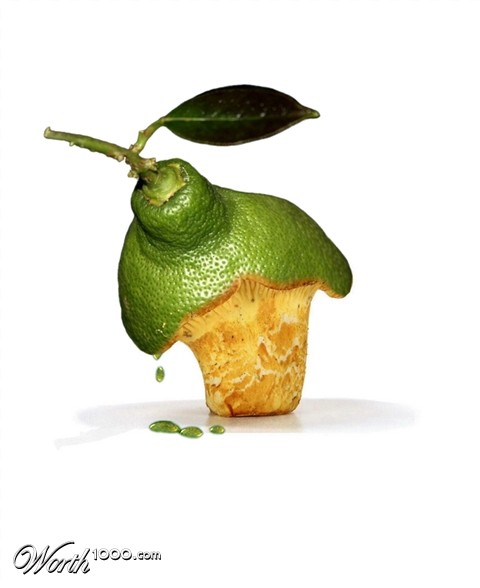 Photoshop Design by elbebeach