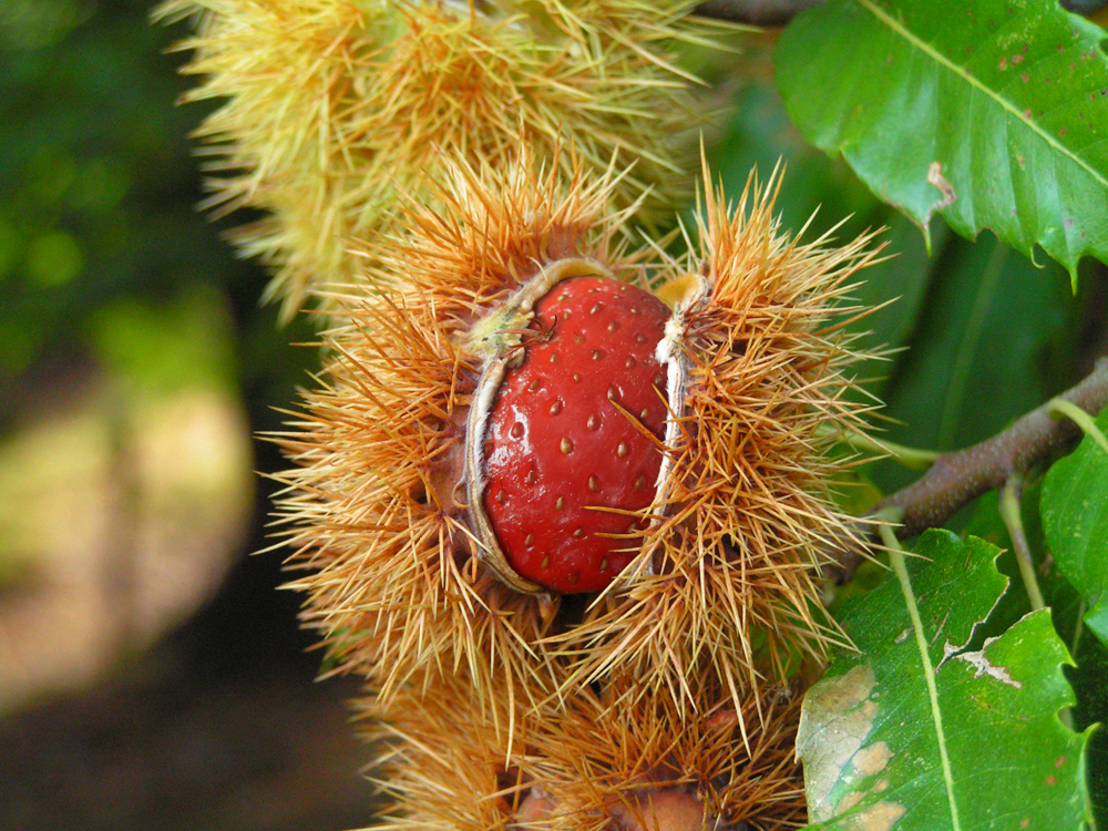 Photoshop Design by bicyclewilli for DesignCrowd (Community Contests) | Design #8965761