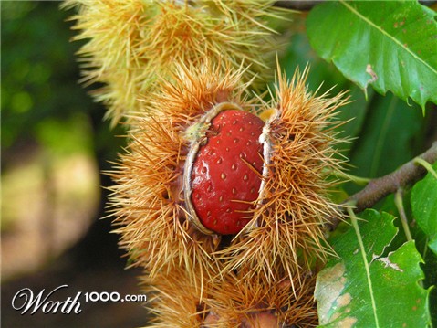 Photoshop Design by bicyclewilli