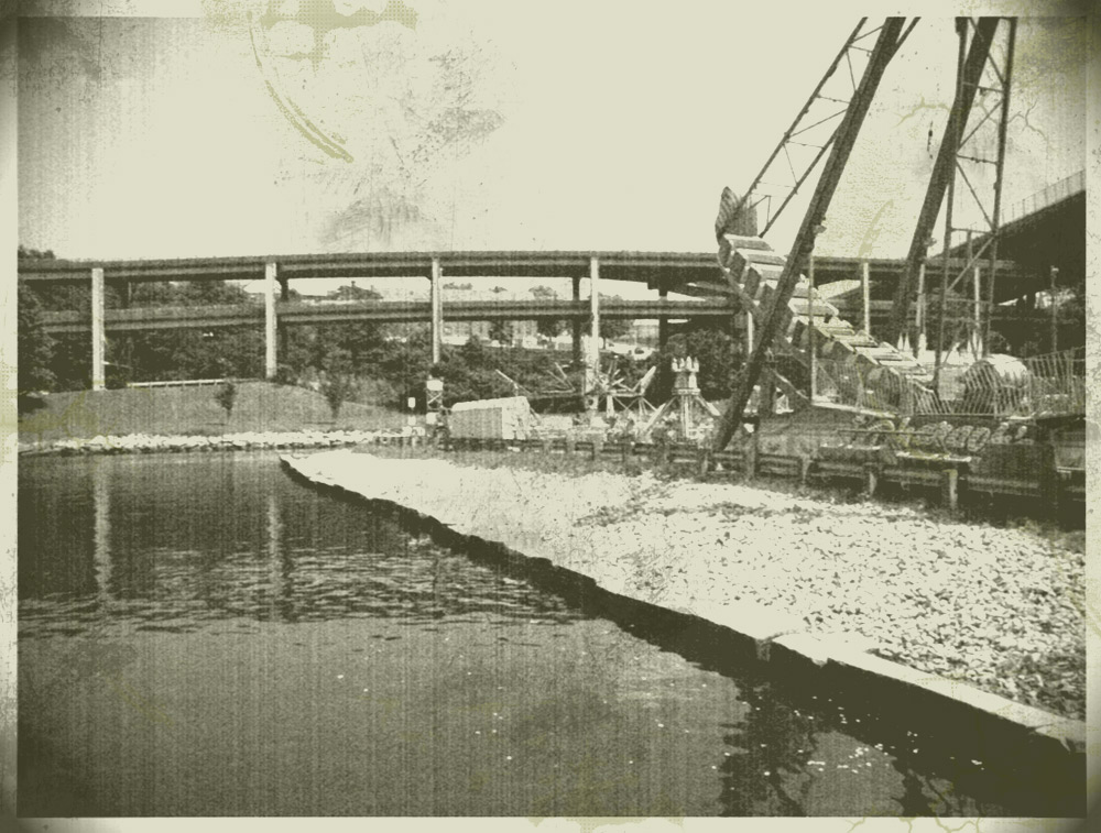 Fotografía por frogfreak99 para DesignCrowd (Community Contests) | Diseño #8969249