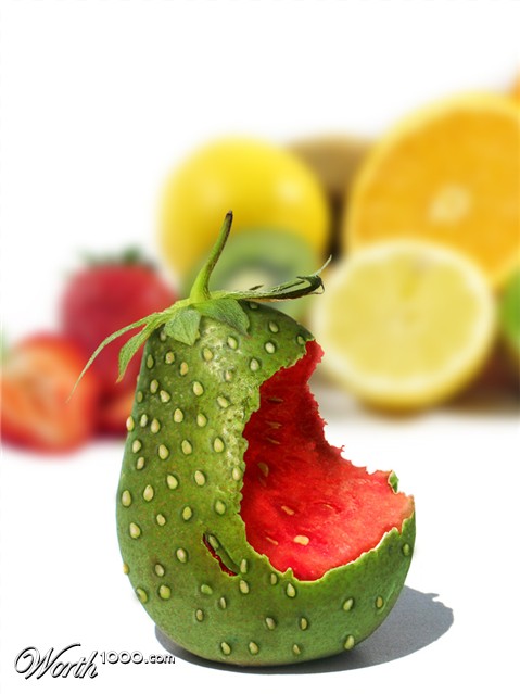 Photoshop Design by PixelTreason