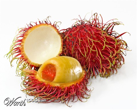 Photoshop Design by zoe1000