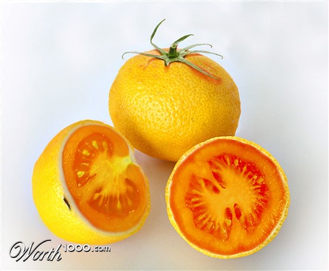 Photoshop Design by Xtapolapocetl