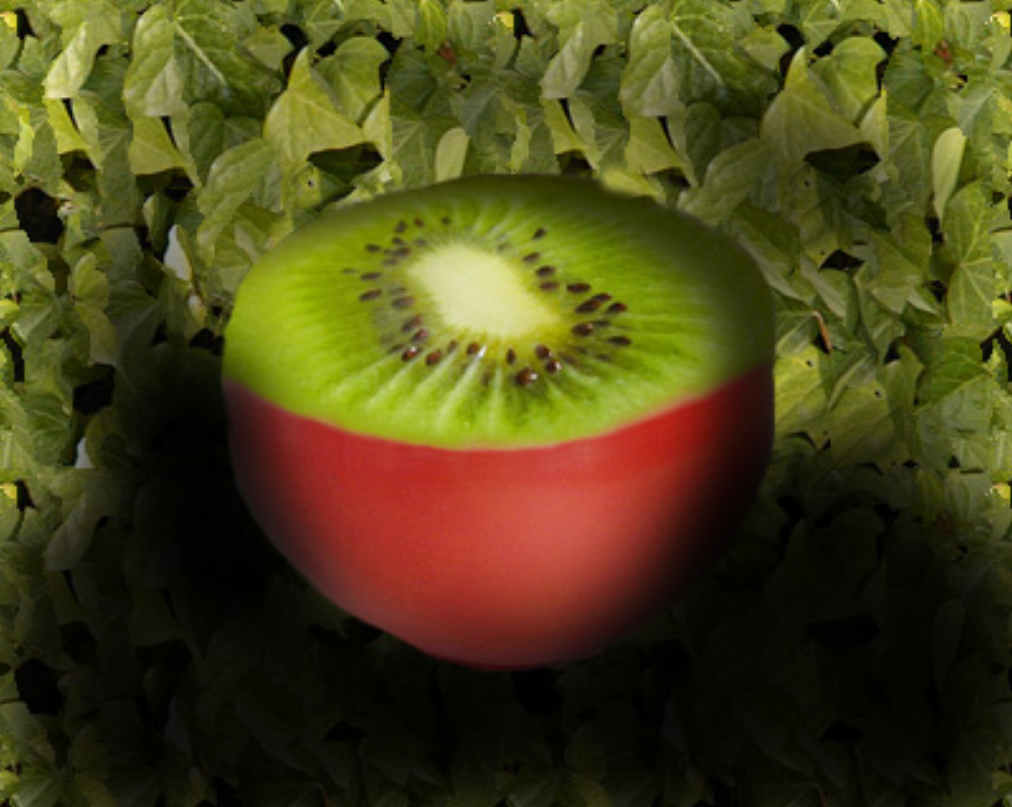 Diseño de Photoshop por mictina para DesignCrowd (Community Contests) | Diseño #8965889