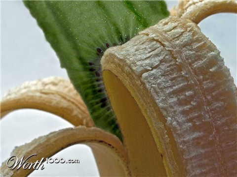 Photoshop Design by zapparina1