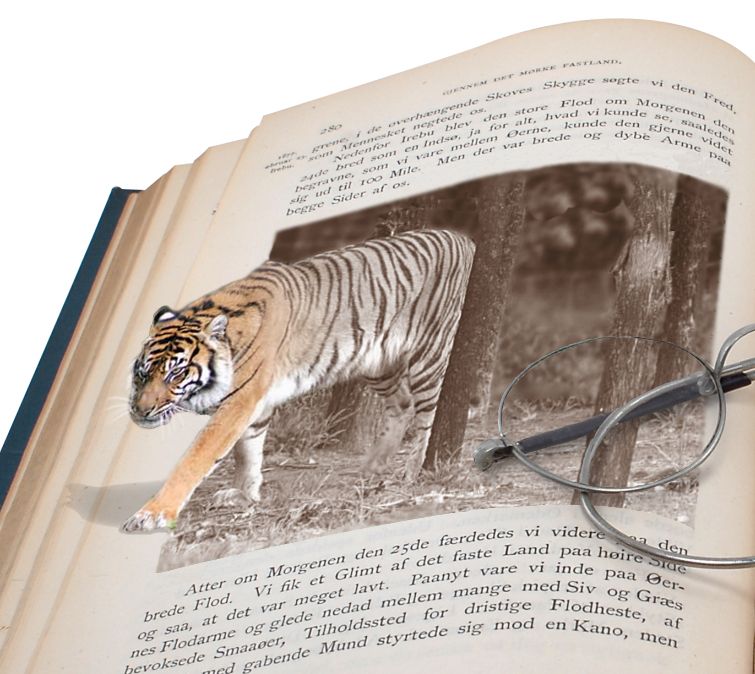 Photoshop Design by badapoum for DesignCrowd (Community Contests) | Design #8964514