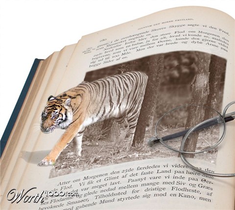 Photoshop Design by badapoum