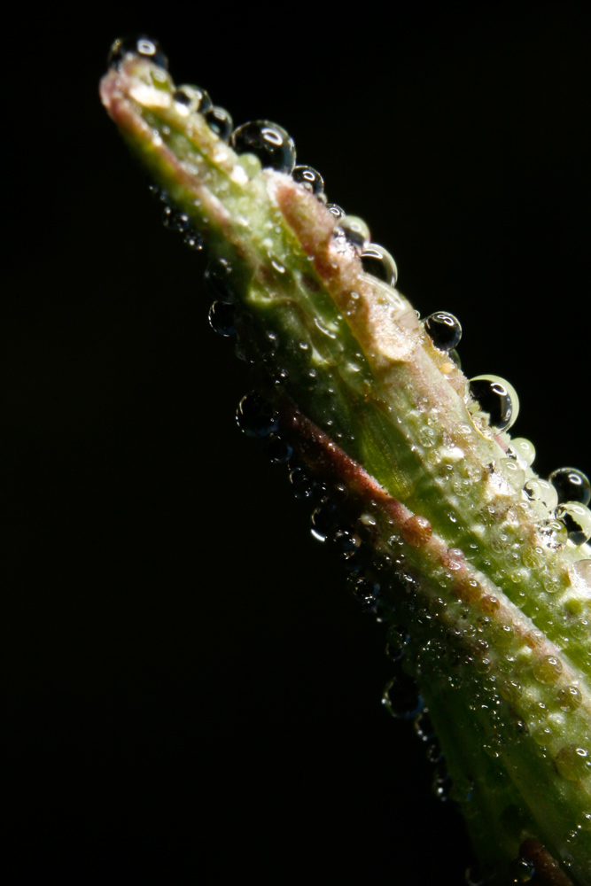 Photography by pbennett for DesignCrowd (Community Contests) | Design #8965062