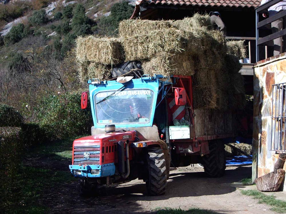 Photography by franl259 for DesignCrowd (Community Contests) | Design #8964214