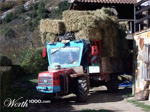 Photography by franl259