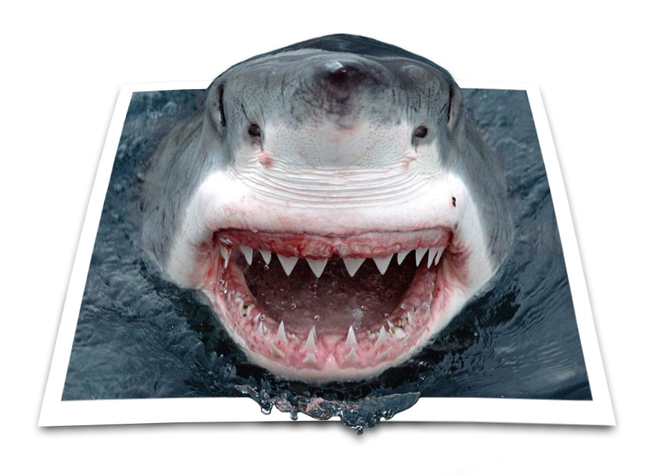 Diseño de Photoshop por madferrit para DesignCrowd (Community Contests) | Diseño #8964532