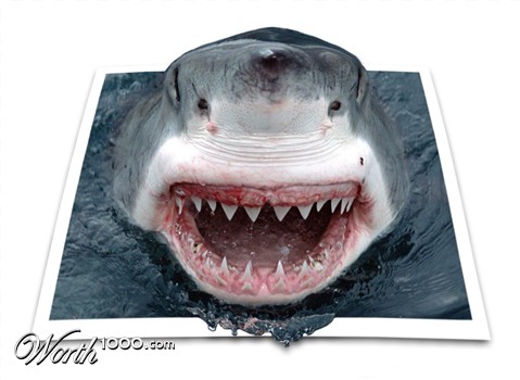 Photoshop Design by madferrit