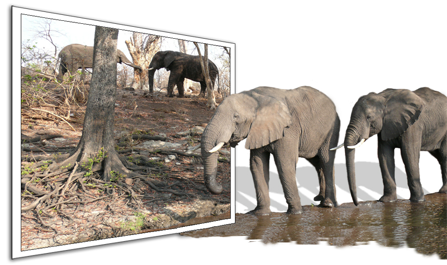 Photoshop-Design von Coschie für DesignCrowd (Community Contests) | Design #8964590