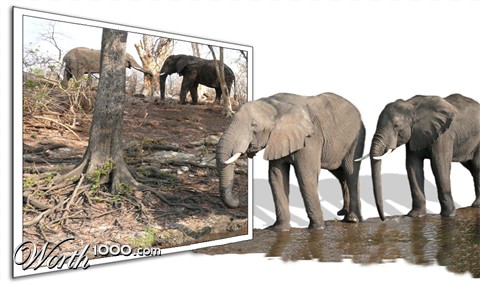 Photoshop Design by Coschie