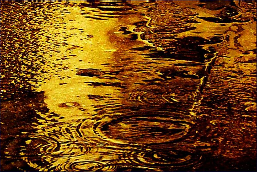 Photographie par Berilu pour DesignCrowd (Community Contests) | Design #8965112