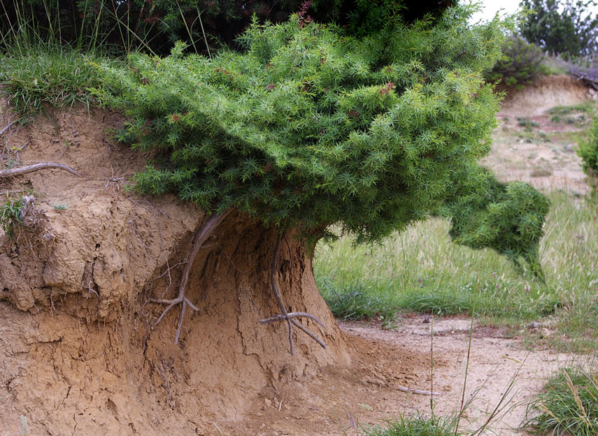 Design Photoshop par justju pour DesignCrowd (Community Contests) | Design #8968420