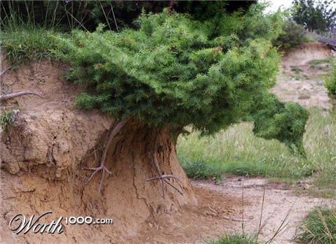 Photoshop Design by justju