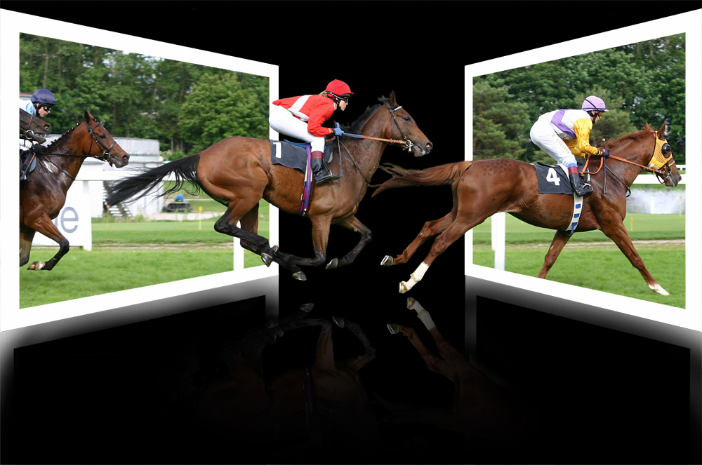 Photoshop Design by lucimine for DesignCrowd (Community Contests) | Design #8964598