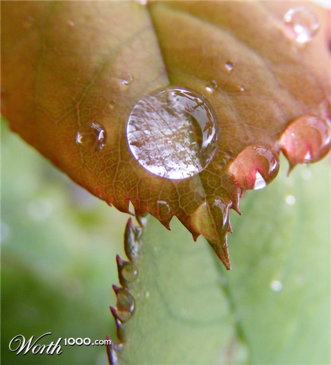 Photography by imthinkingoutloud