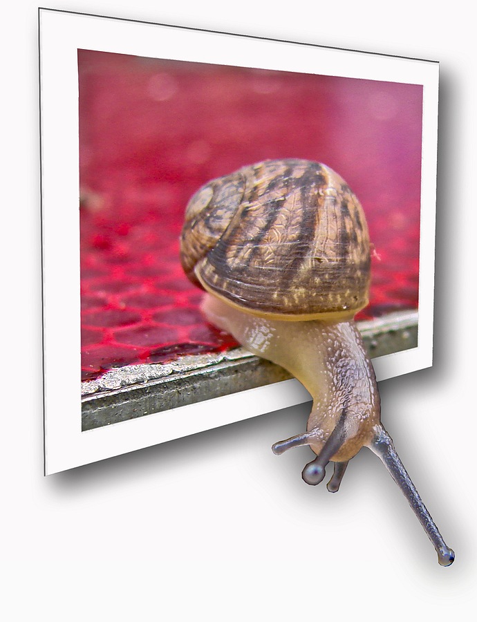 Photoshop Design by Jaap54 for DesignCrowd (Community Contests) | Design #8964640
