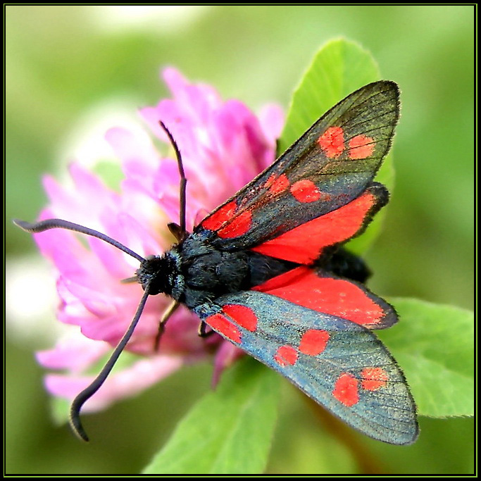 Photography by mzmzmzmz for DesignCrowd (Community Contests) | Design #8972143