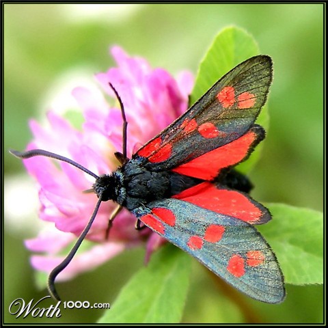 Photography by mzmzmzmz