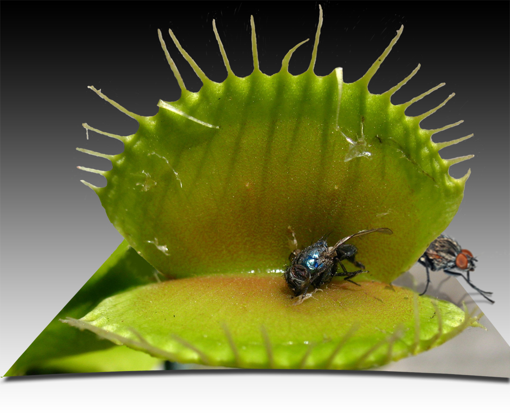 Photoshop Design by bicyclewilli for DesignCrowd (Community Contests) | Design #8964661