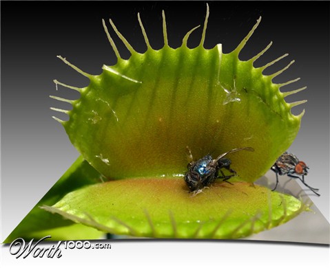 Photoshop Design by bicyclewilli