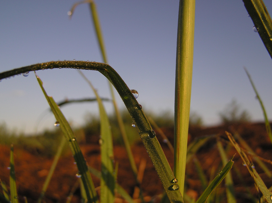 Photography by bobulus for DesignCrowd (Community Contests) | Design #8965116