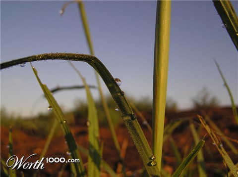 Photography by bobulus