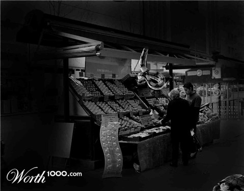 Photoshop Design by coolummes