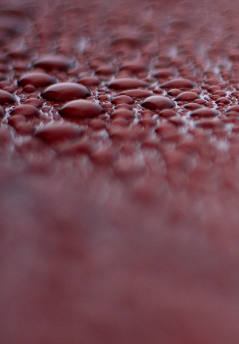 Photographie par Awyrdo pour DesignCrowd (Community Contests) | Design #8965127