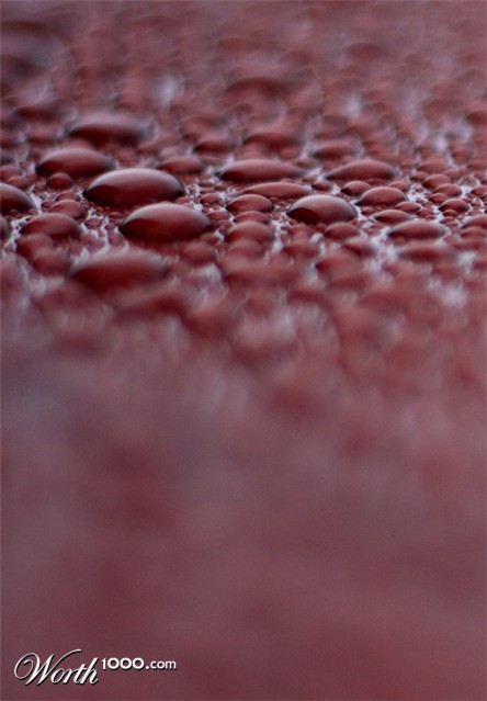 Photography by Awyrdo