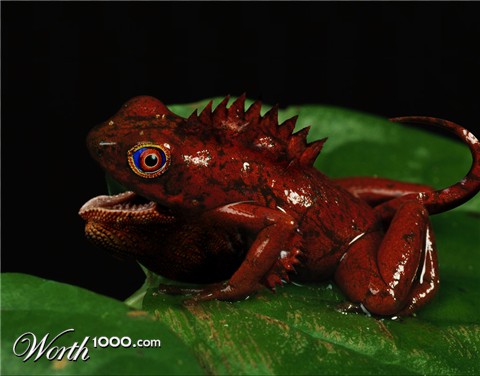 Photoshop Design by JacoSchoeman