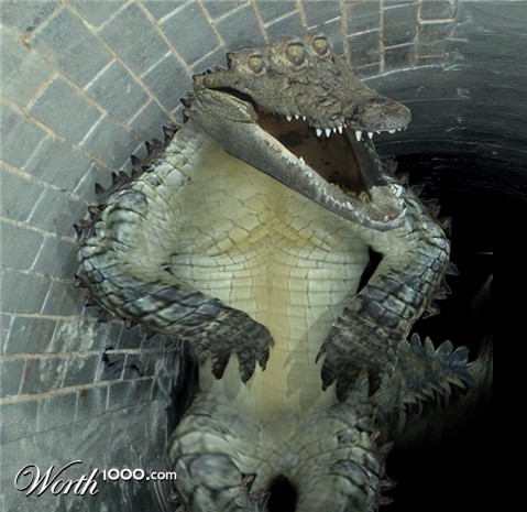 Photoshop Design by EKelman