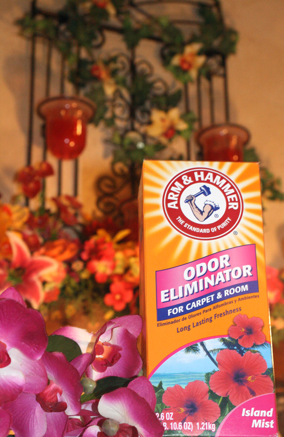 Photography by LunaStone for DesignCrowd (Community Contests) | Design #8963475