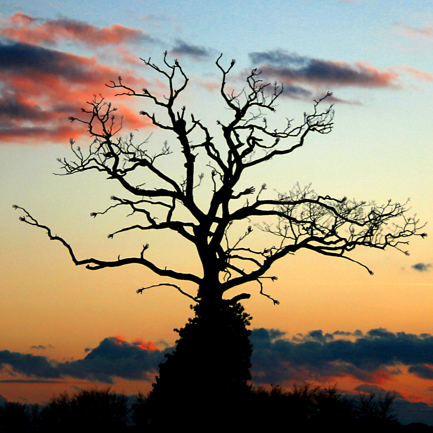 Photoshop Design by wendyrulkens for DesignCrowd (Community Contests) | Design #8968620