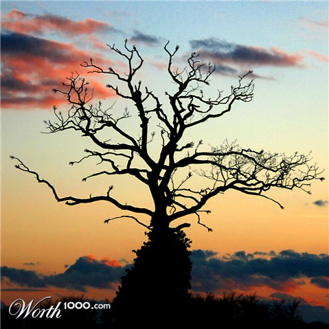 Photoshop Design by wendyrulkens